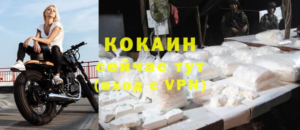 молекула духа Наволоки