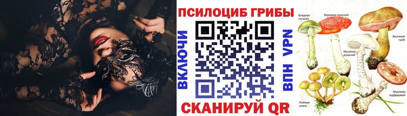 Галлюциногенные грибы мухоморы  Старая Русса 